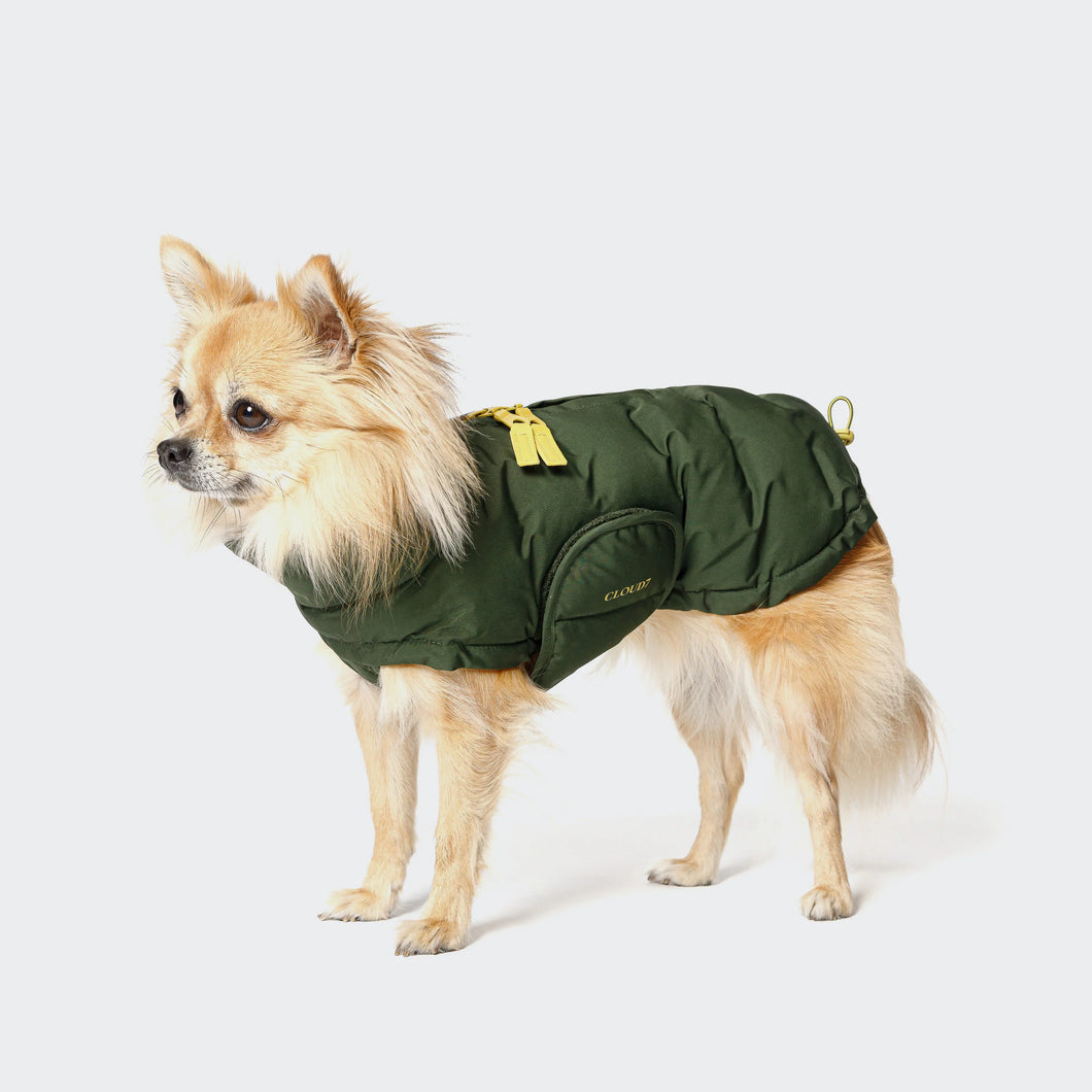 Cloud7 Hundemantel Alaska PRO Olive