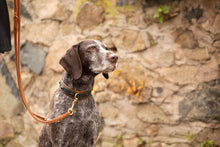 Laden Sie das Bild in den Galerie-Viewer, HALSBAND &quot;LORD &amp; LADY&quot;