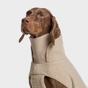 Cloud7 Hundepullover Gotland Beige